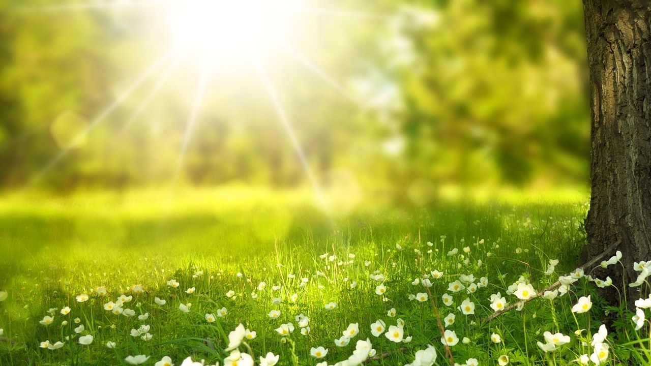 3M Commits to Sustainability